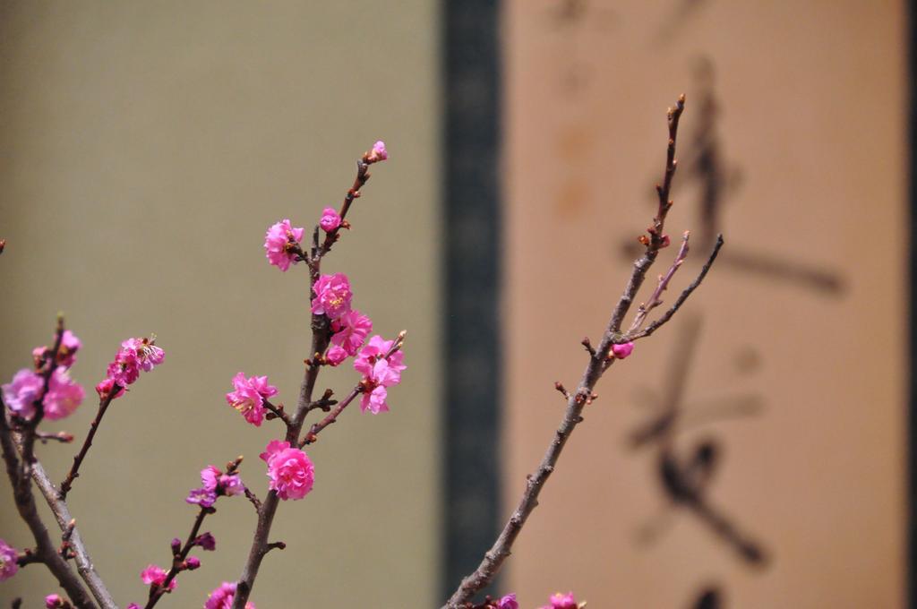Ryokan Urashima Ономичи Стая снимка